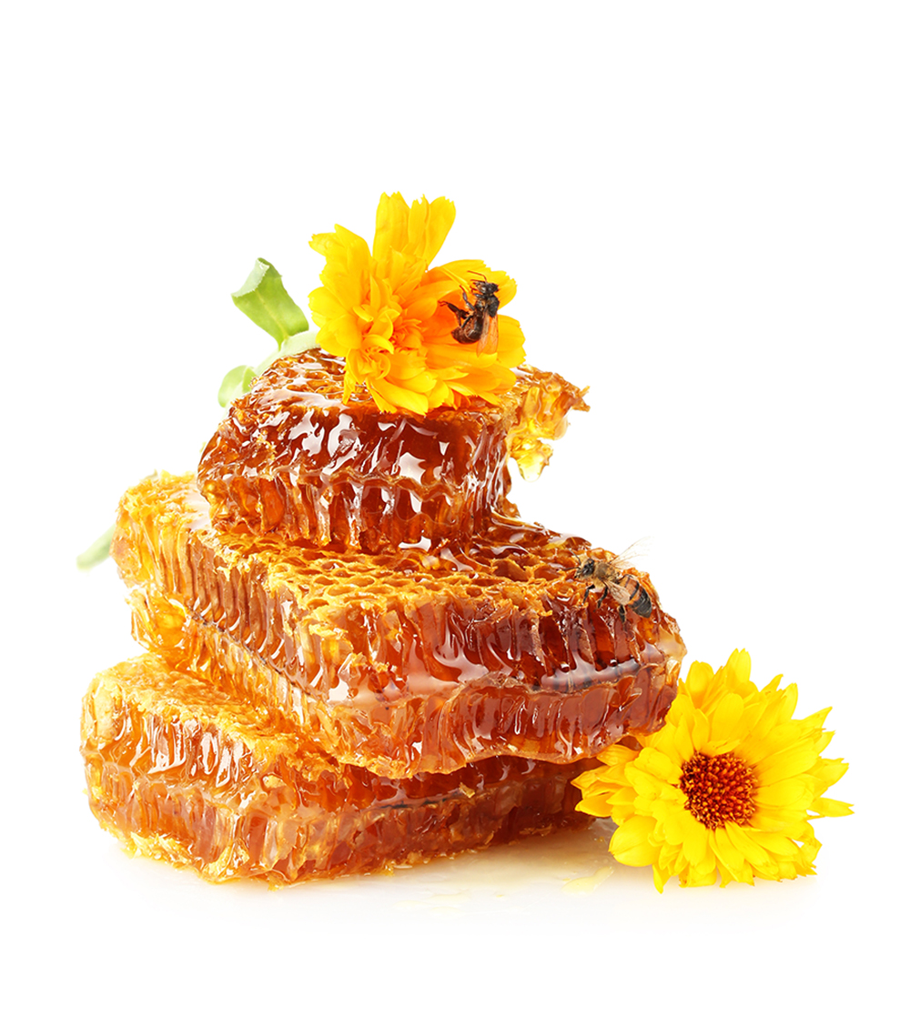 Honey | Natural good Health for your animal